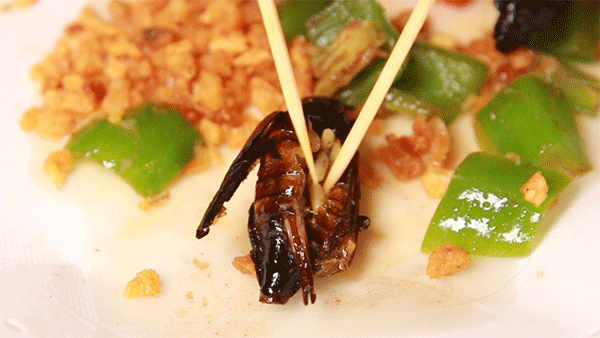 吃20cm的油炸大蜈蚣⑥种昆虫五毒之首到底什么味道