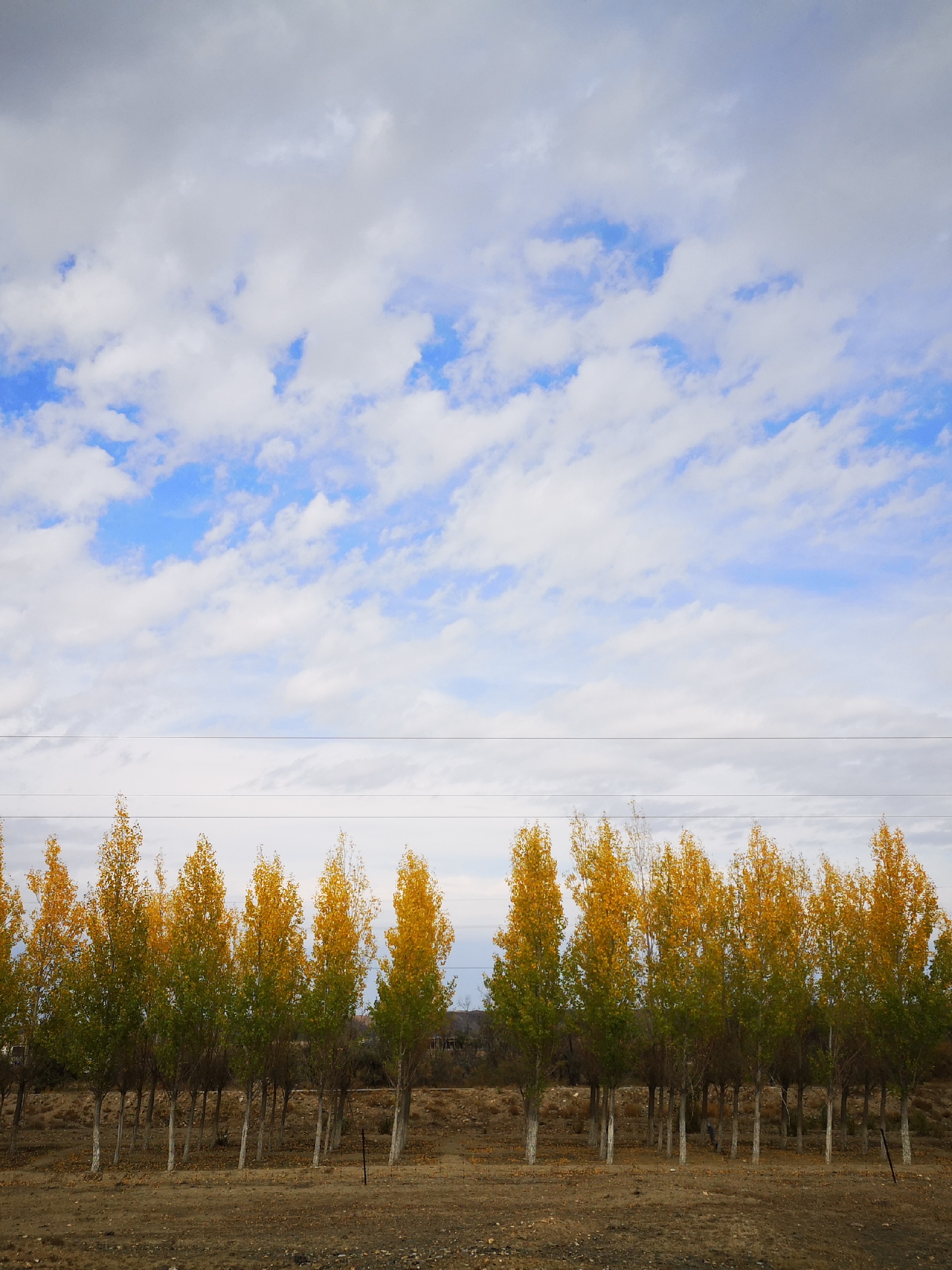 北屯美食-老吴特色鱼馆