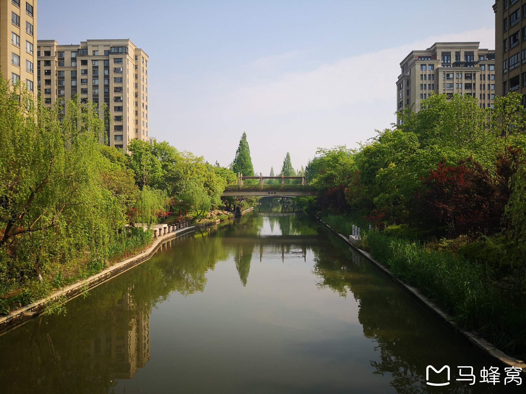 杭州市江干区的"黎明公园"的"杜鹃节"观赏游览----走遍杭州