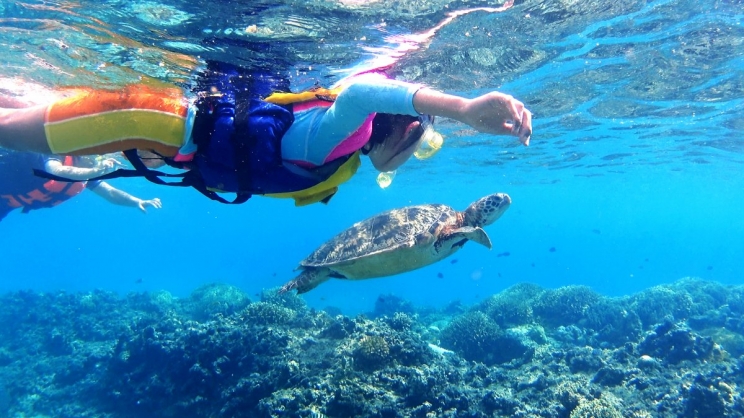 欢乐亲子游日本冲绳渡嘉敷岛海水浴浮潜一日游 那霸市区可选接送服务 含午餐快艇船票 海水浴浮潜bbq可选 马蜂窝自由行