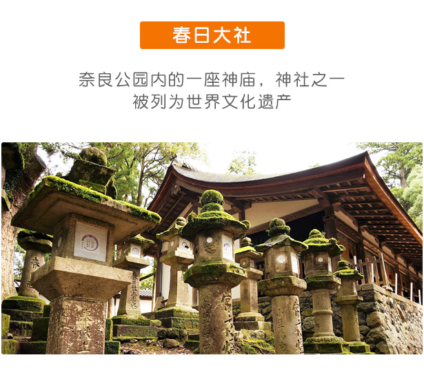 日本京都奈良双都一日游清水寺八坂神社三年坂二年坂奈良公园春日大社