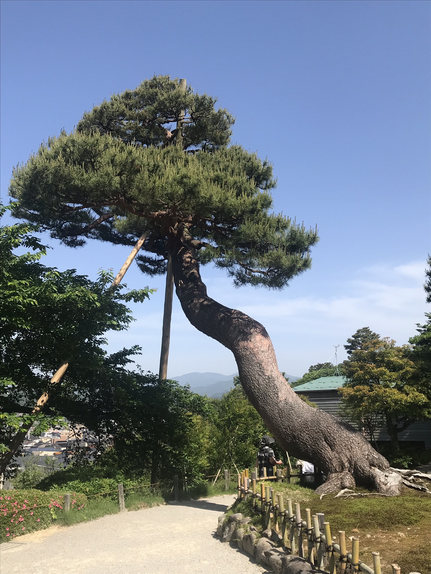 名古屋之旅第二站:金澤兼六園,金澤市自助遊攻略 - 馬蜂窩