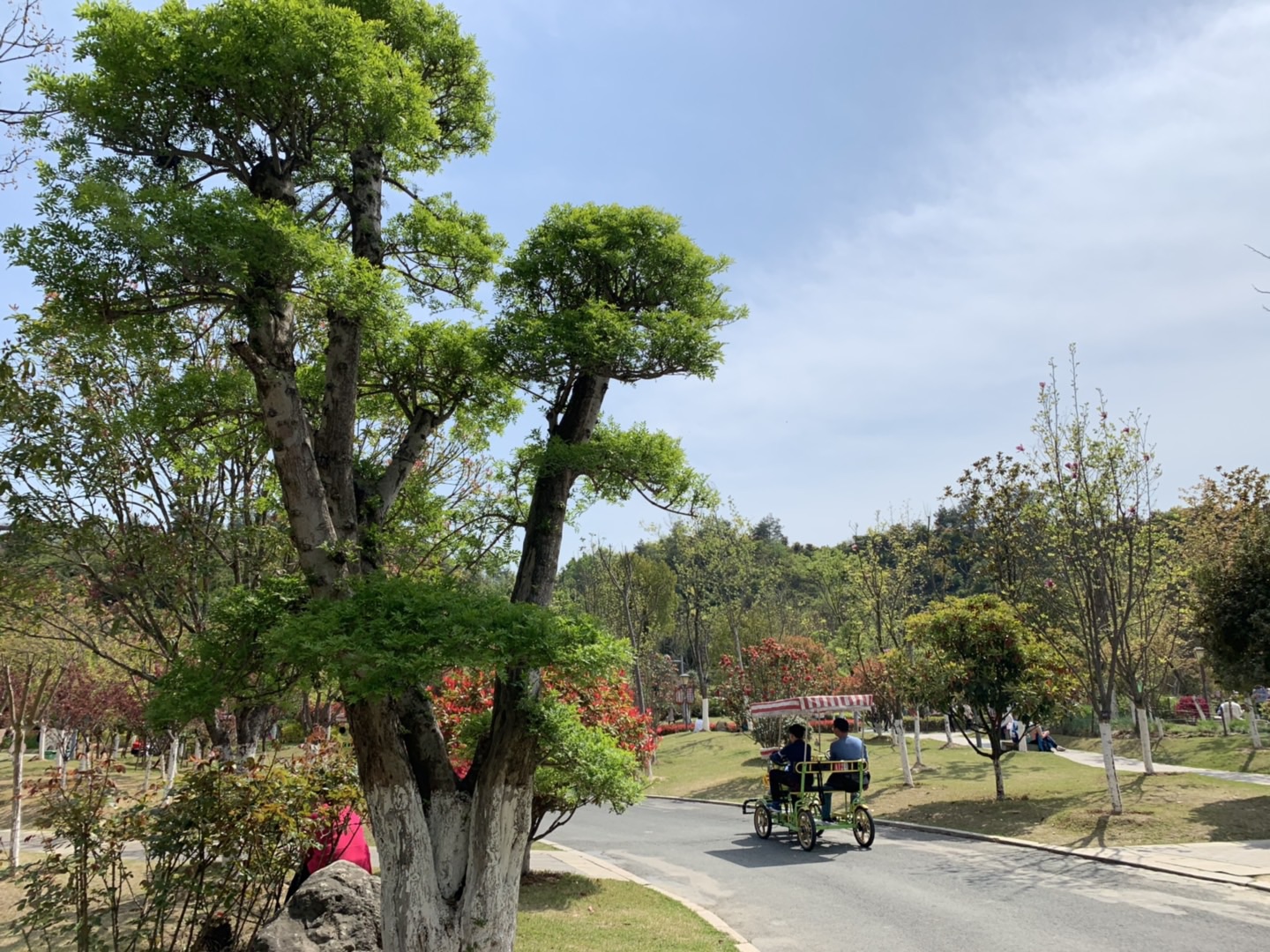 四方山植物園