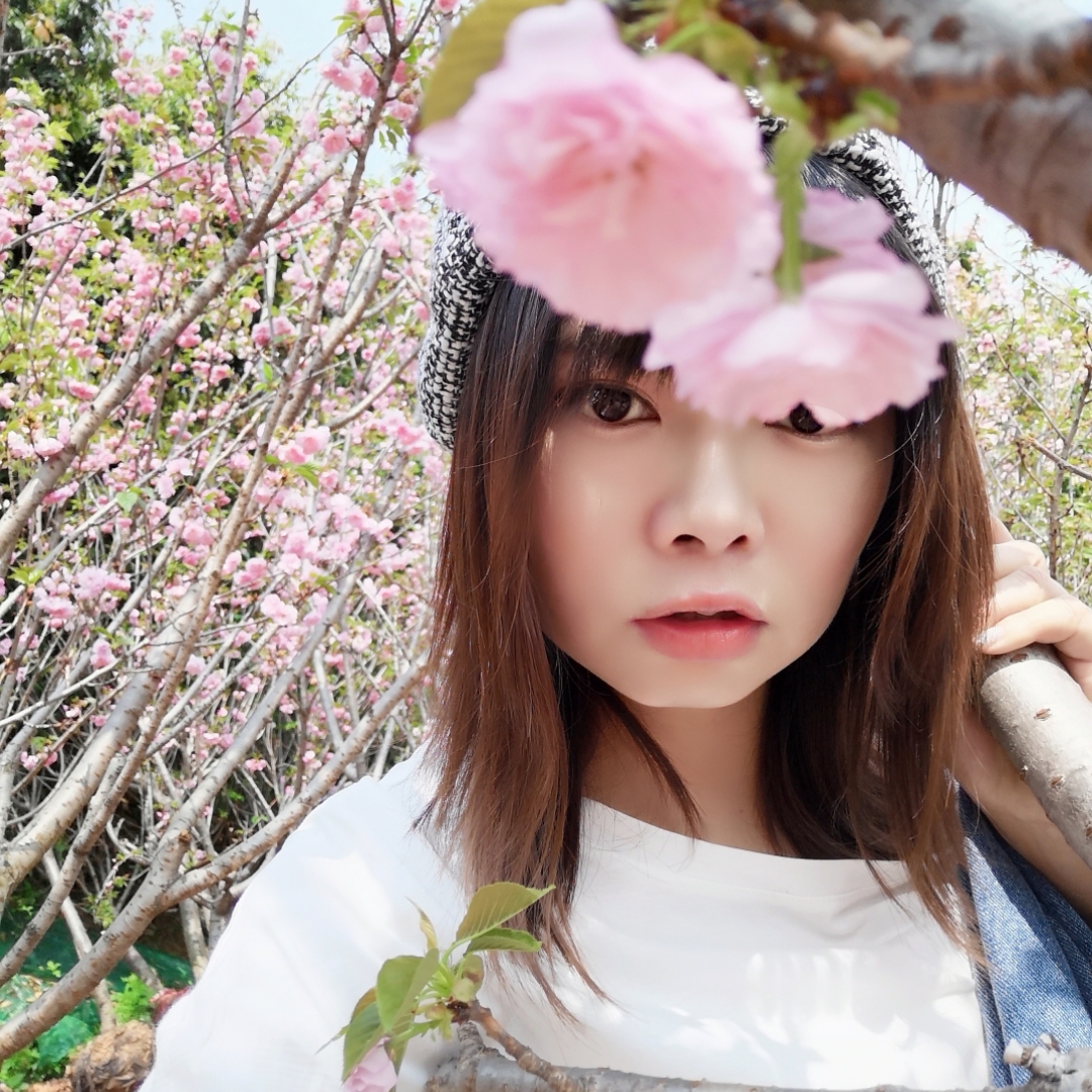 燕子游