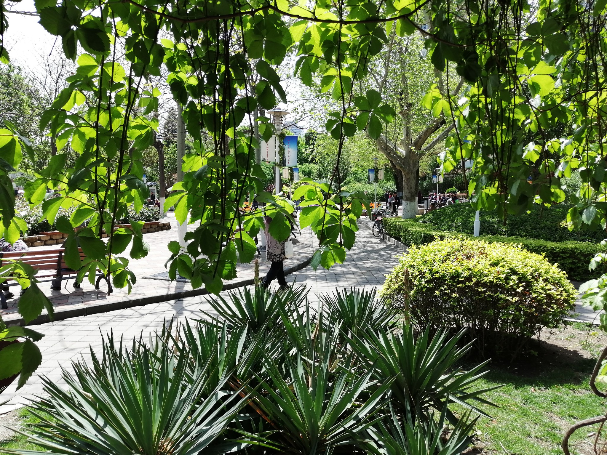 20190425天津土山公园随拍,天津旅游攻略 - 马蜂窝