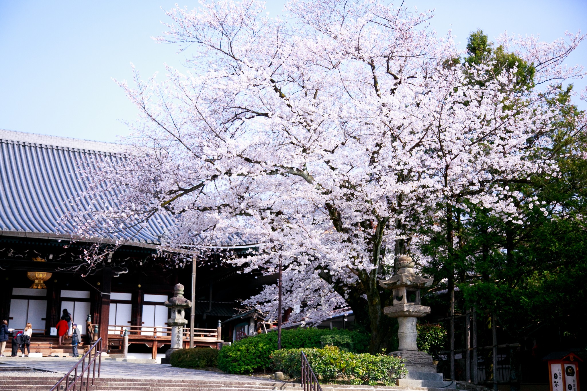 京都自助遊攻略