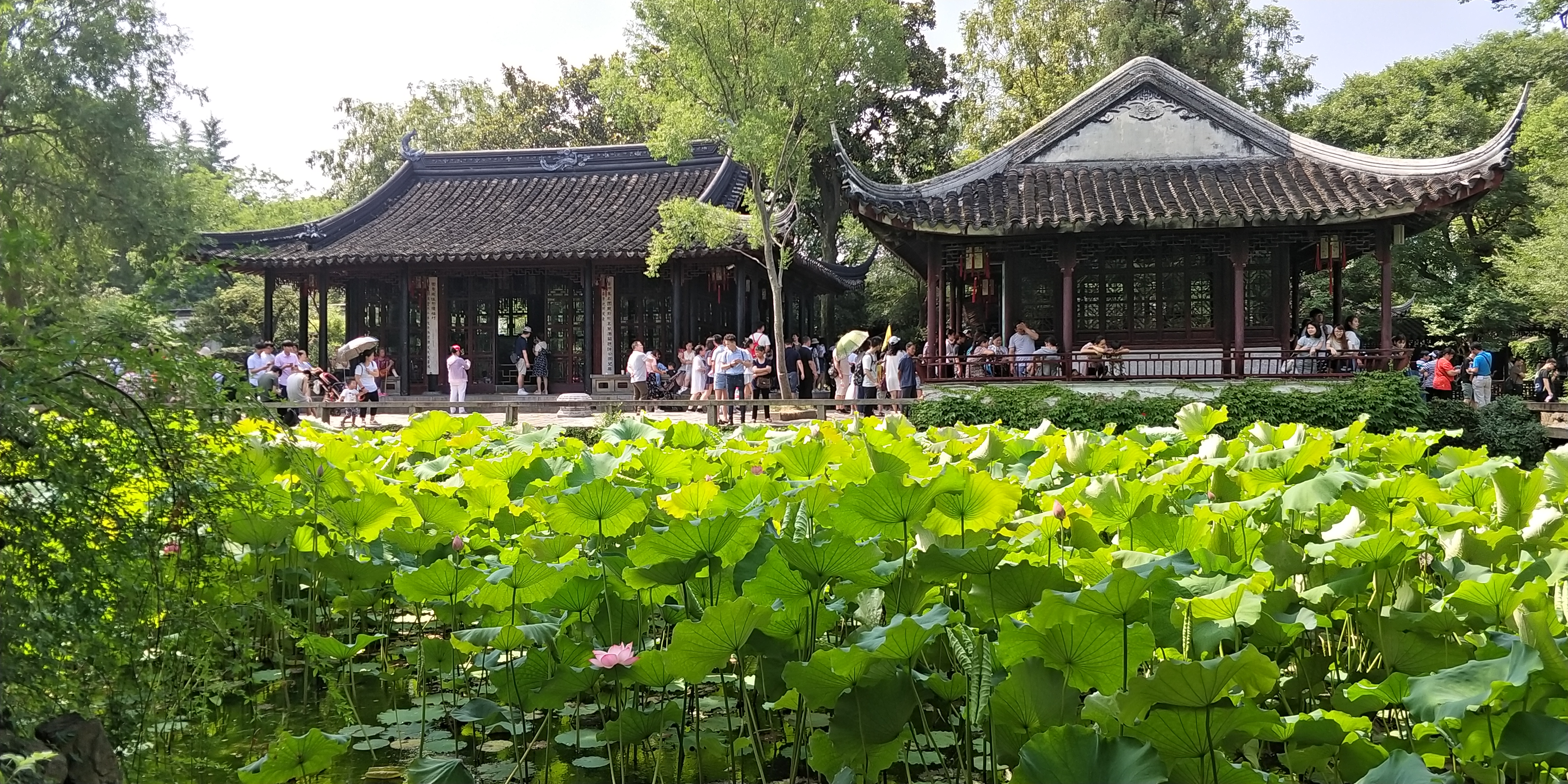 Suzhou The Humble Administrator's Garden