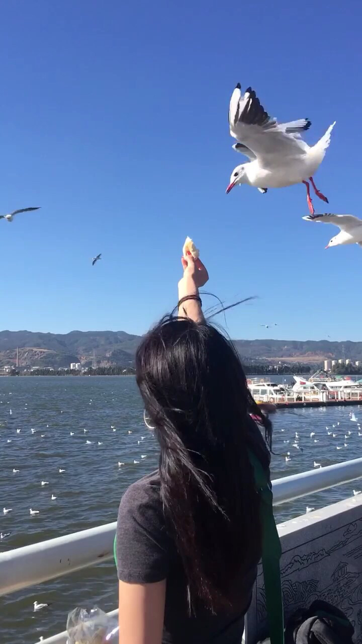 邯郸花园步行街