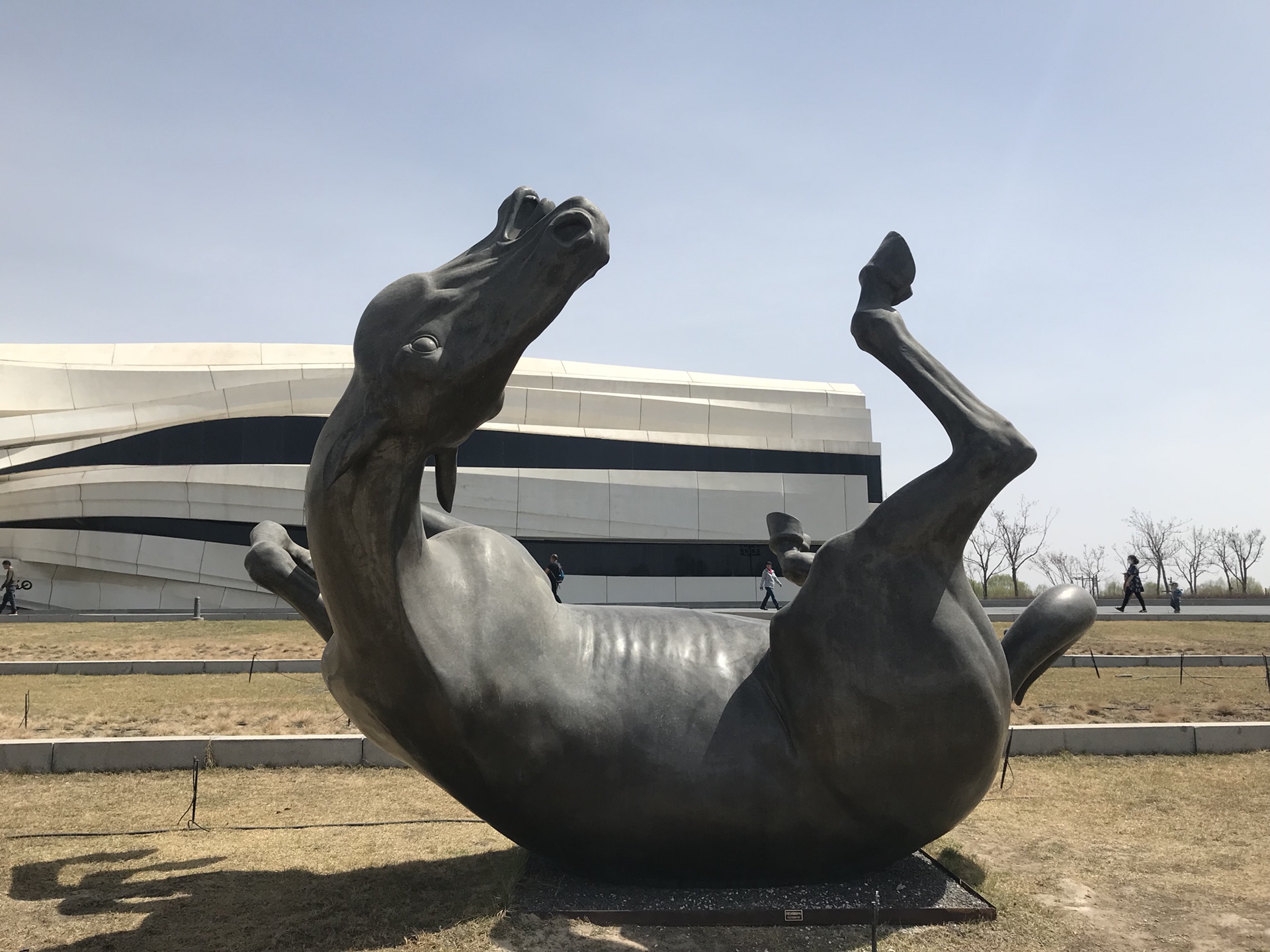 d3 当代美术馆,水洞沟d2 岩画,西夏陵d1 沙湖,镇北堡准备