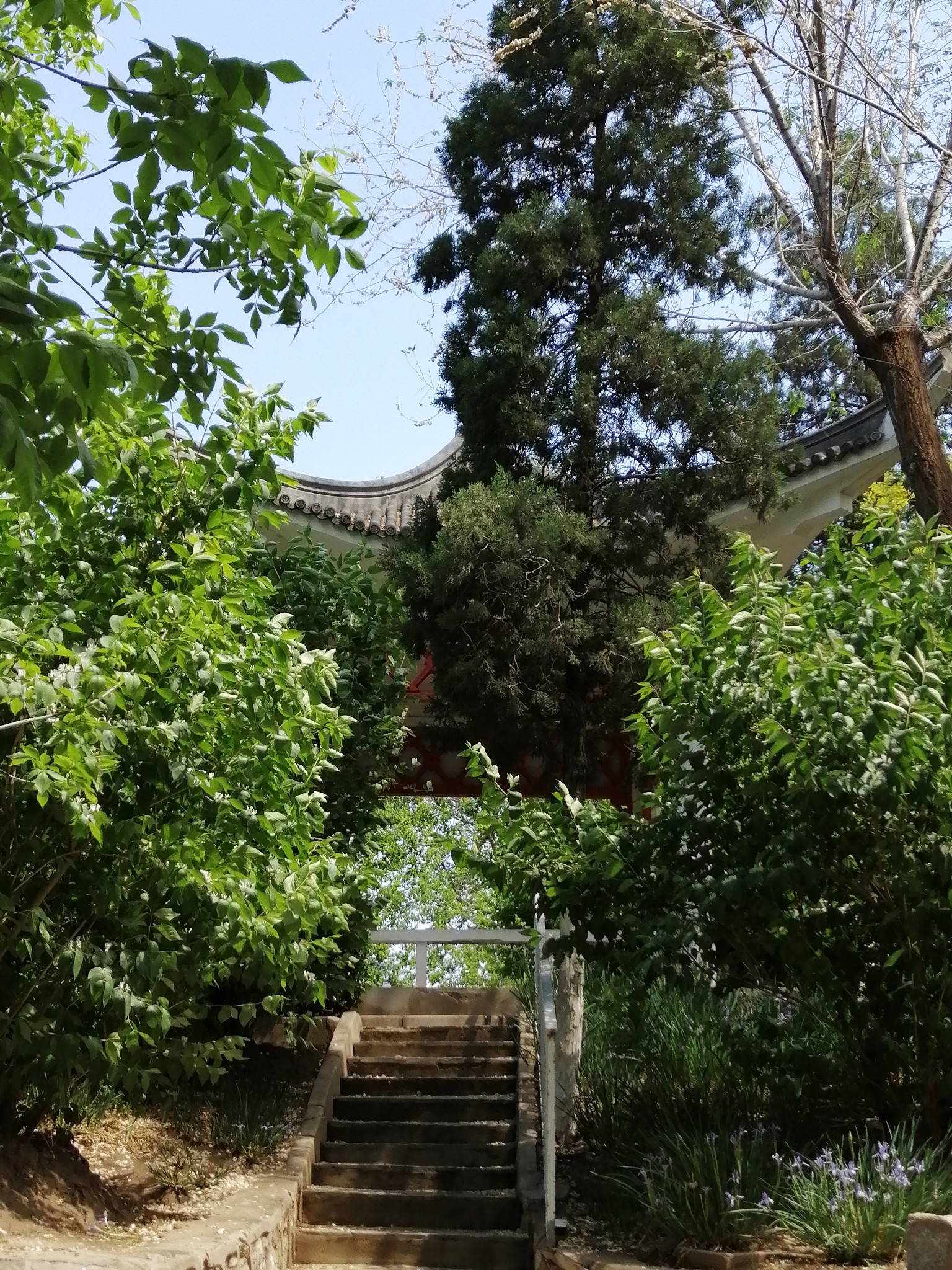 20190425天津土山公园随拍,天津旅游攻略 - 马蜂窝