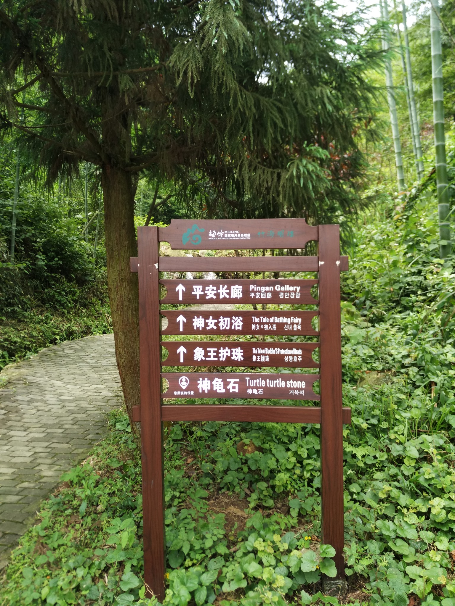 南昌梅岭竹海明珠(原梅岭主峰)景区闪游