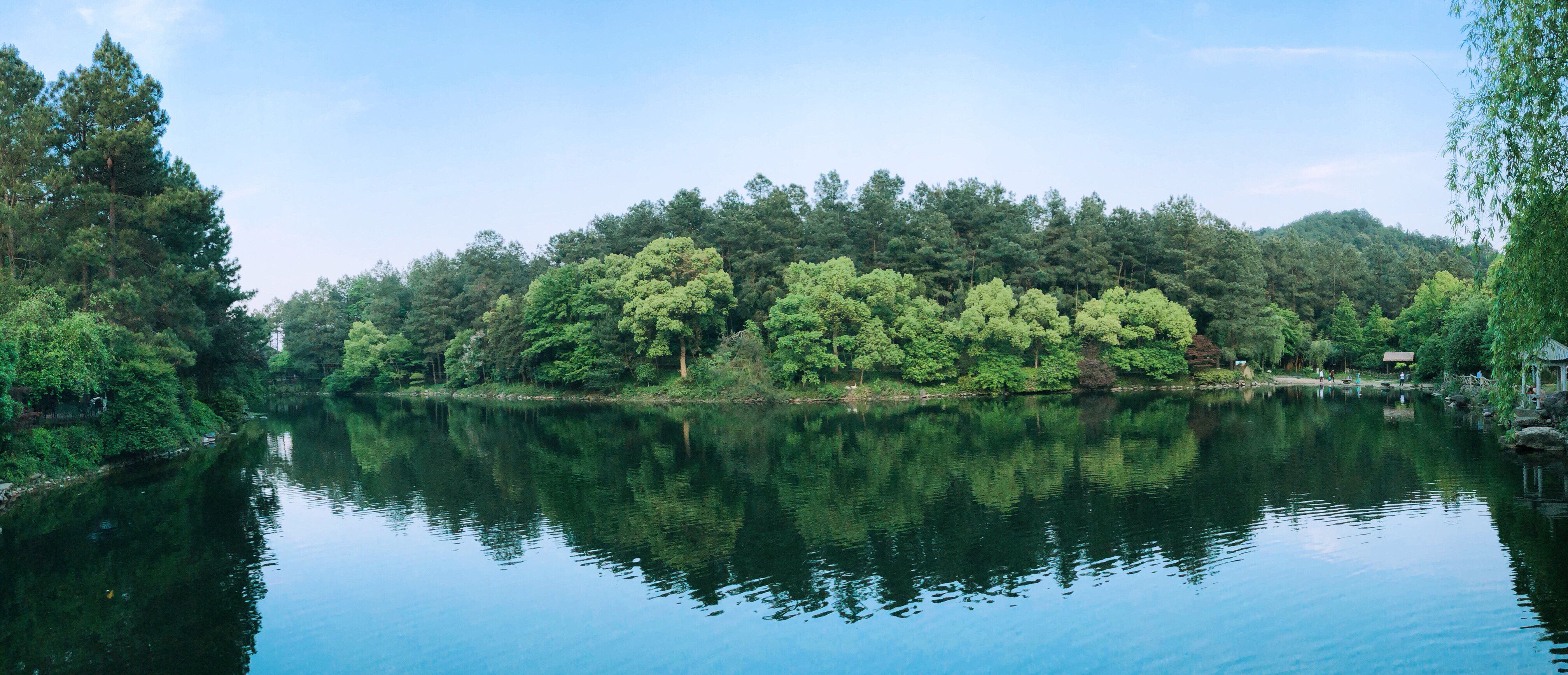 安吉中南百草園攻略,中南百草園門票_地址,中南百草園遊覽攻略 - 馬