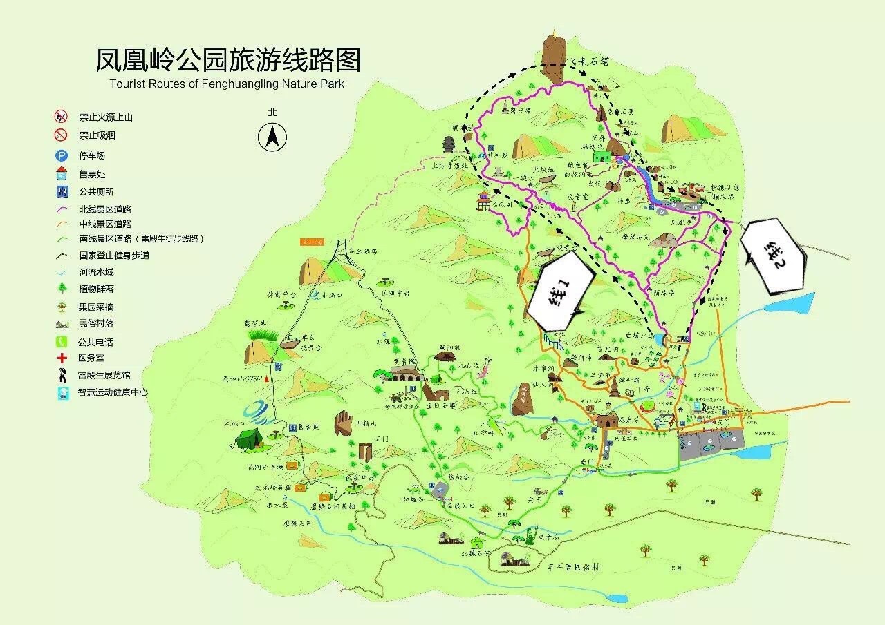 凤凰岭赏杏花攻略