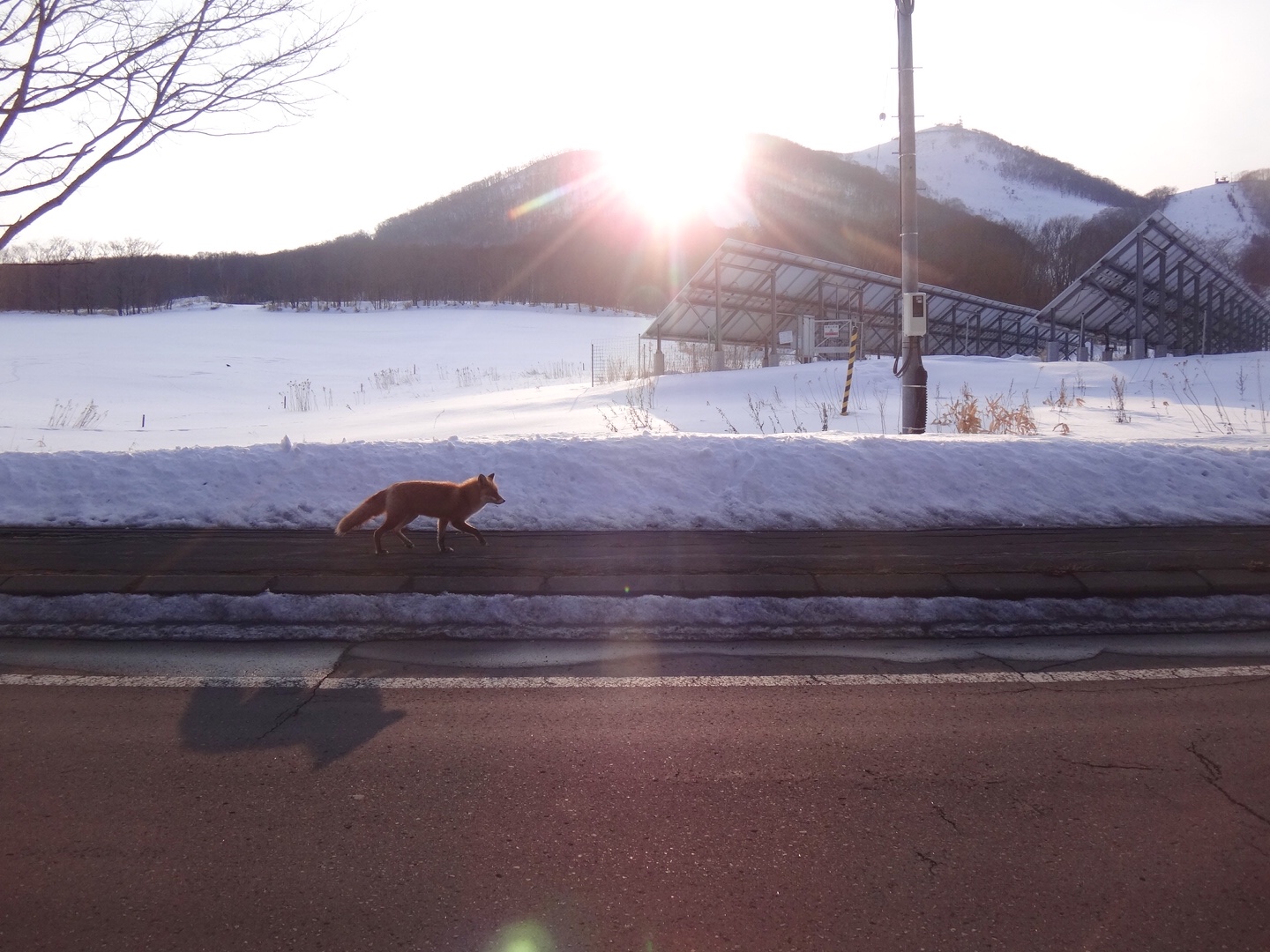 北海道自助遊攻略