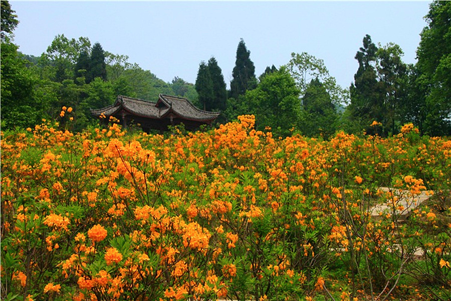 成都彭州丹景山景區門票