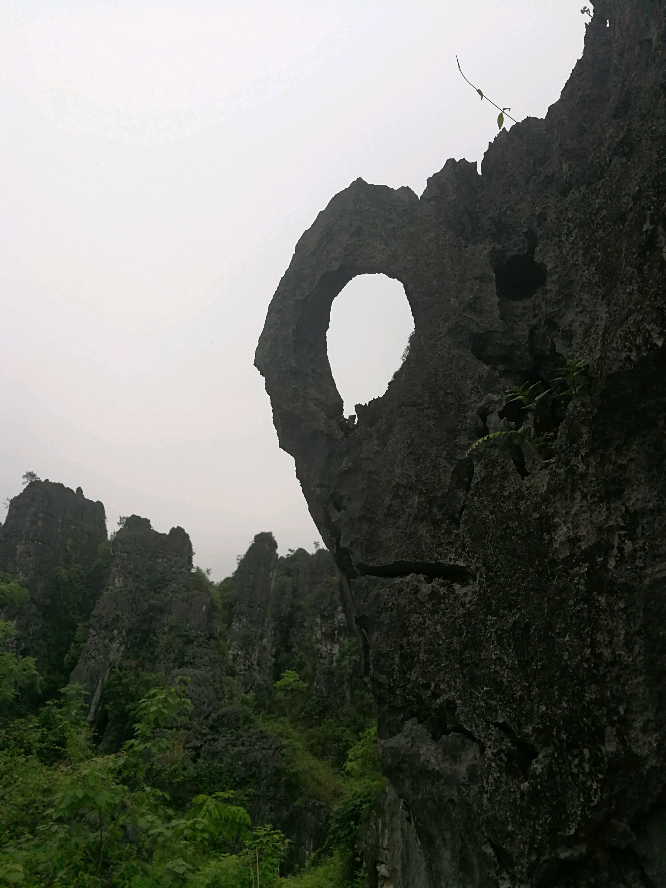 金钗石林城堡景区