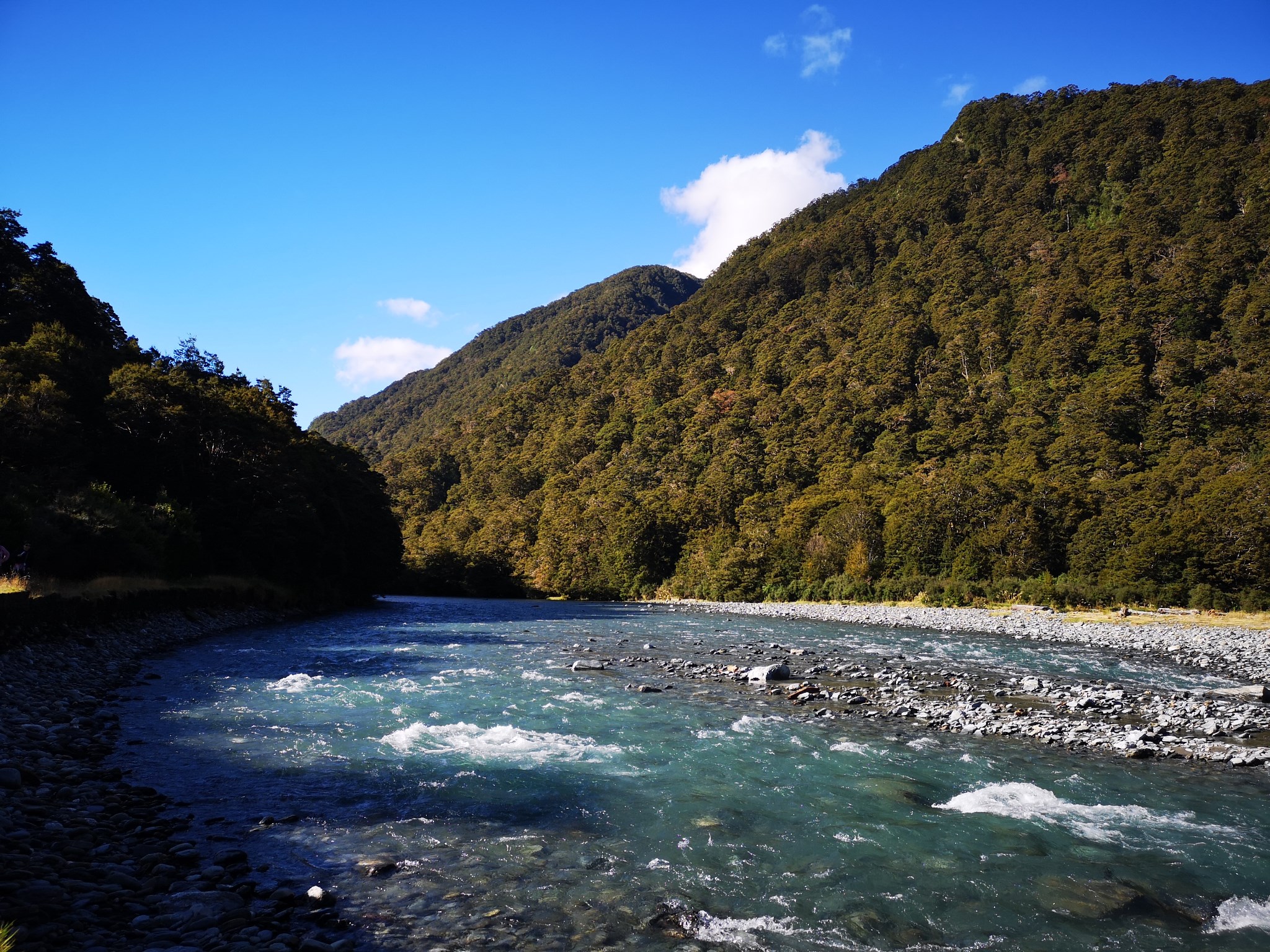 基督城自助遊攻略