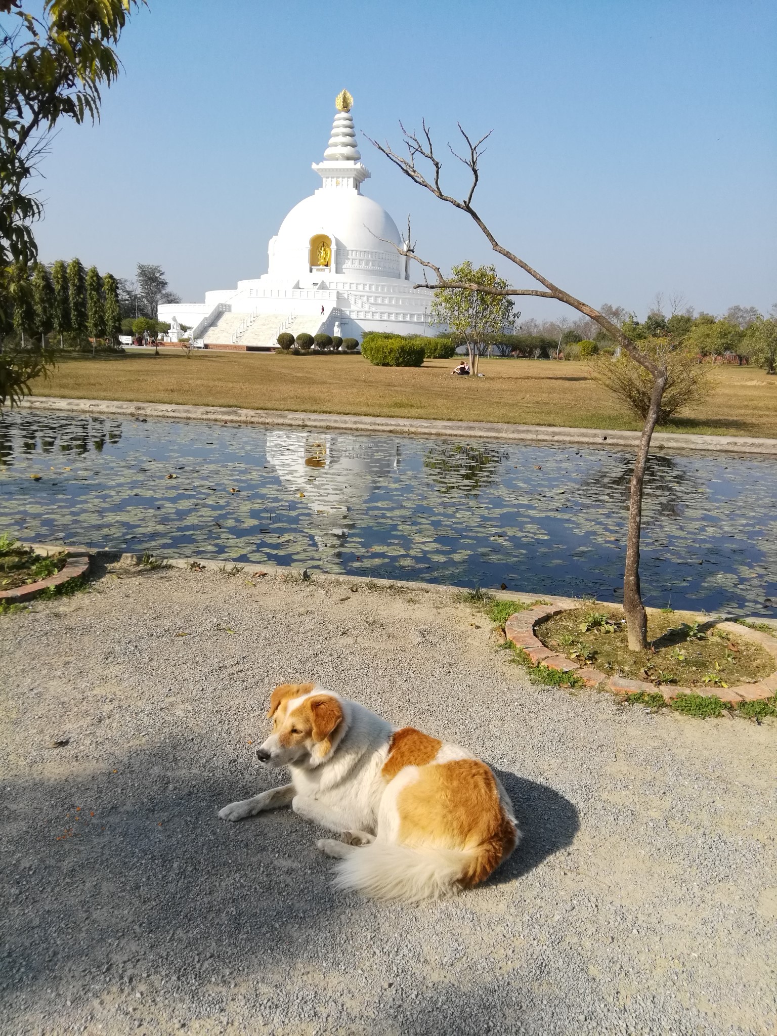 尼泊爾自助遊攻略