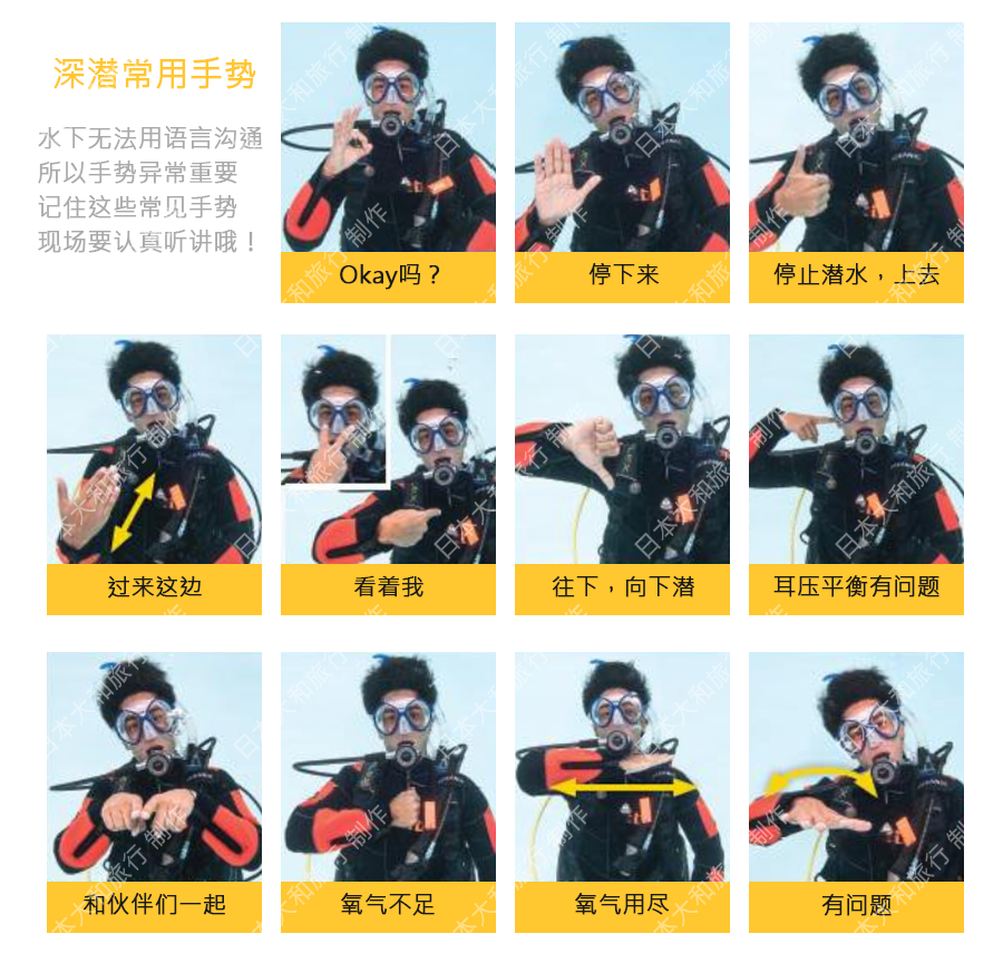 现场教练也会步獾.务必注意听讲哦!