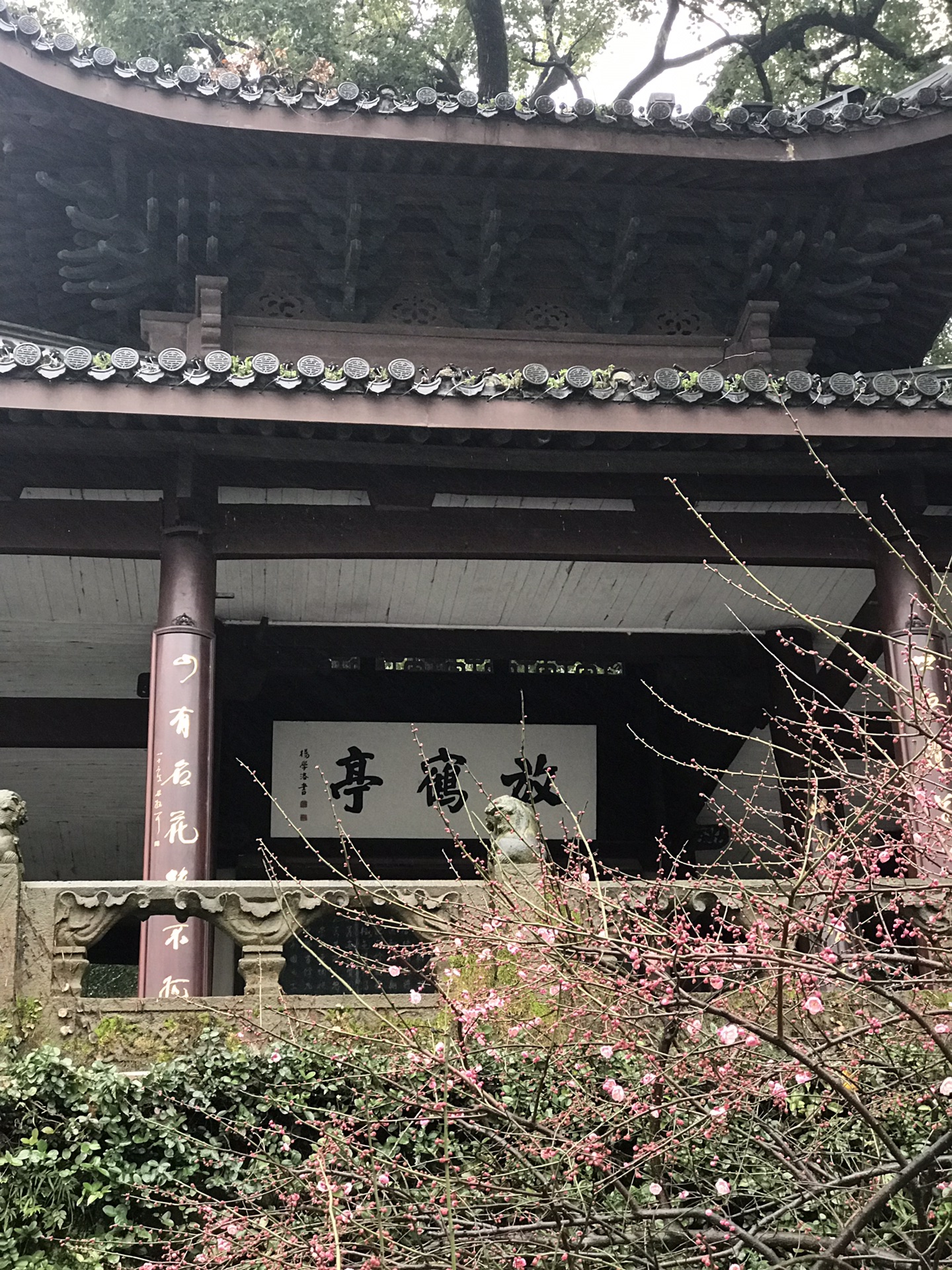 大学浙江大学玉泉校区浙江大学玉泉校区法喜寺上天竺法喜讲寺本篇游记