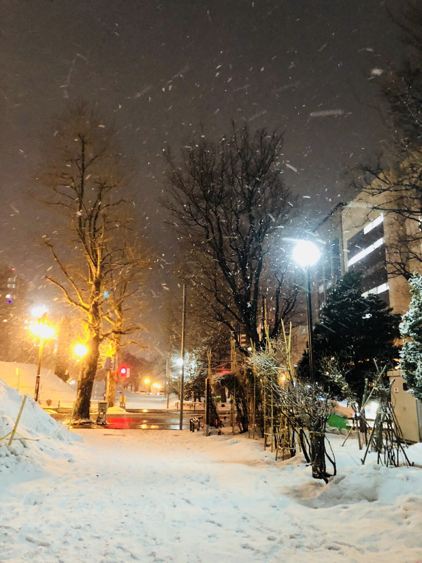 札幌自助遊攻略