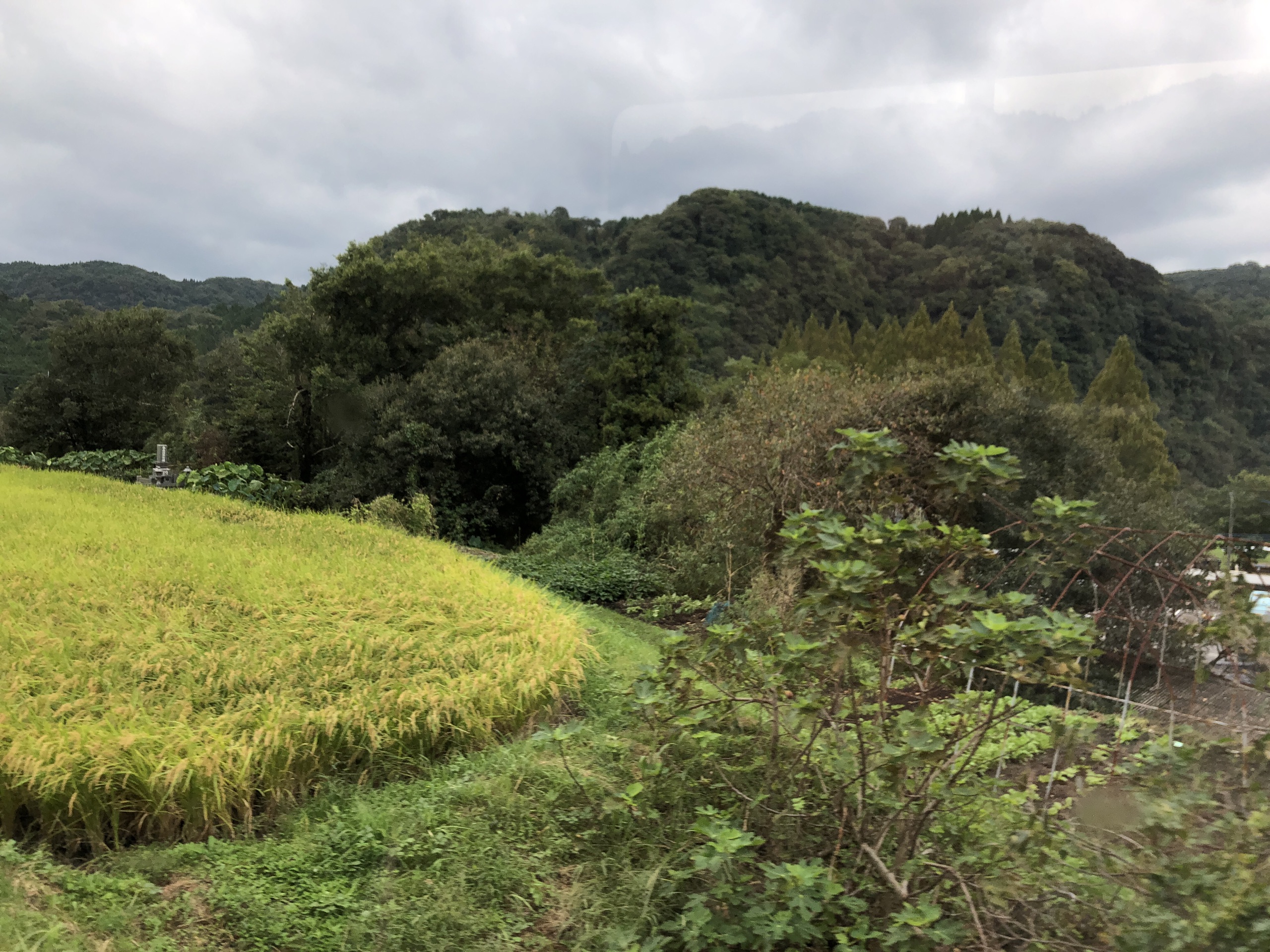 Hotarumi Bridge