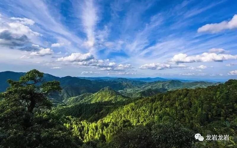 【大美福建】到龙岩梅花山有感