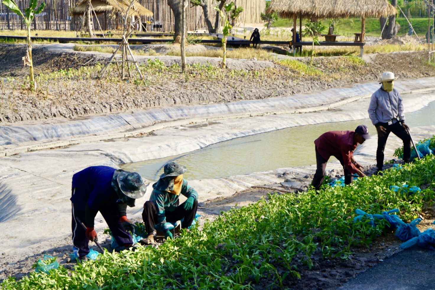 芭提雅自助遊攻略