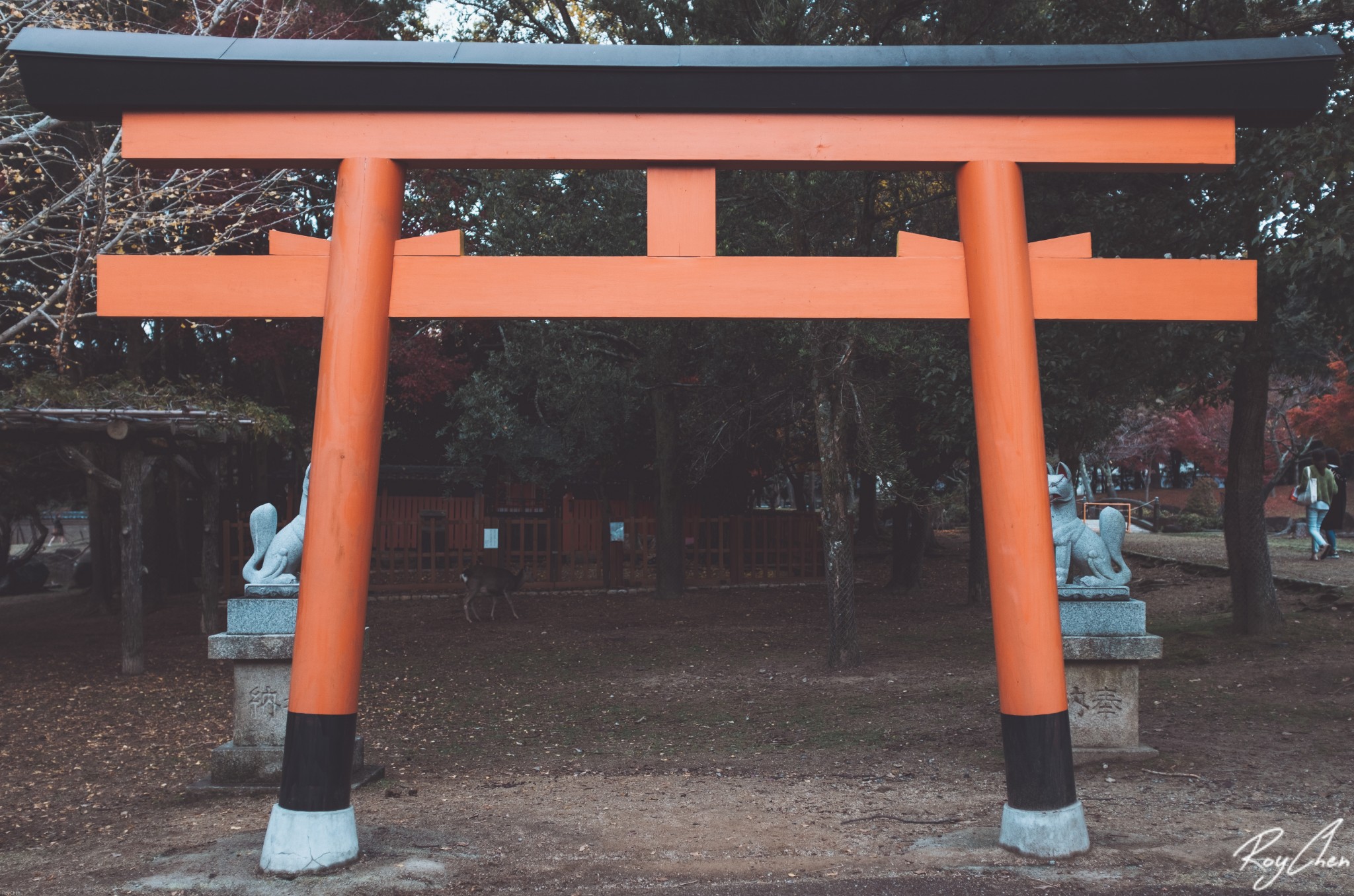 京都自助遊攻略