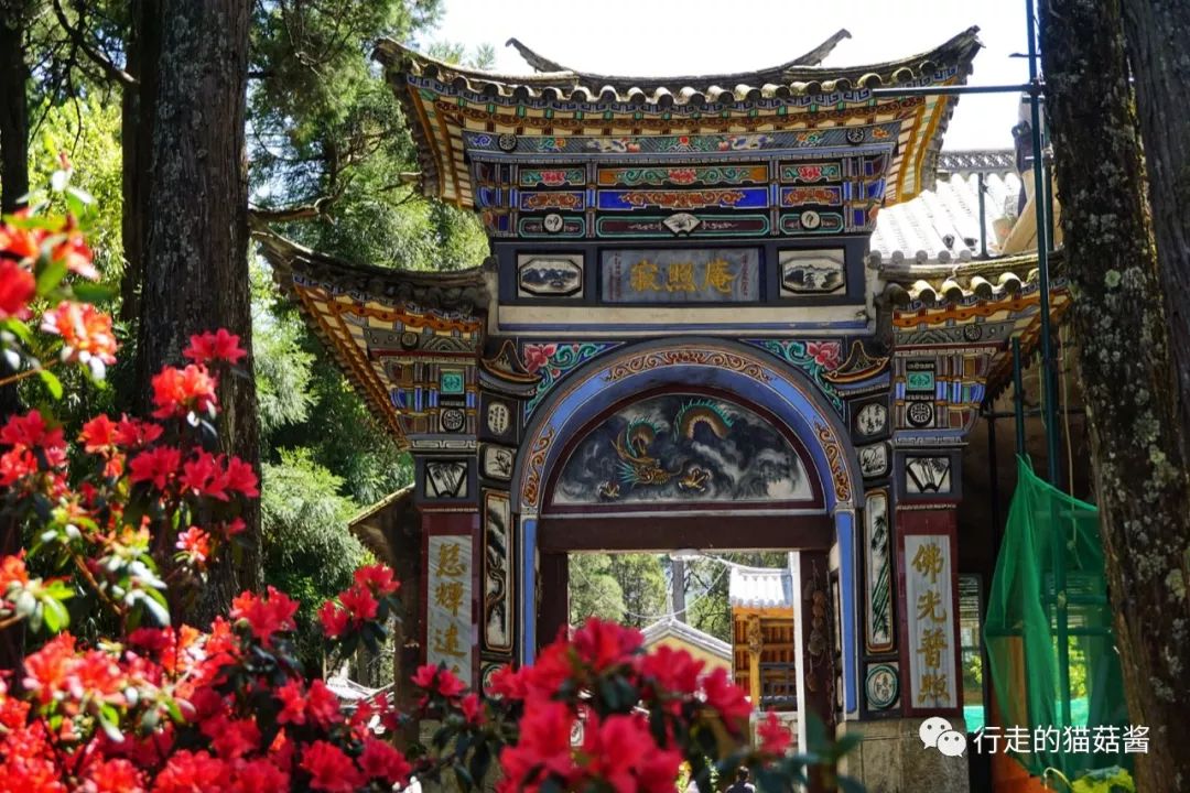 大理寂照庵--美得不像个尼姑庵,还有超好吃的斋饭! - 手机马蜂窝