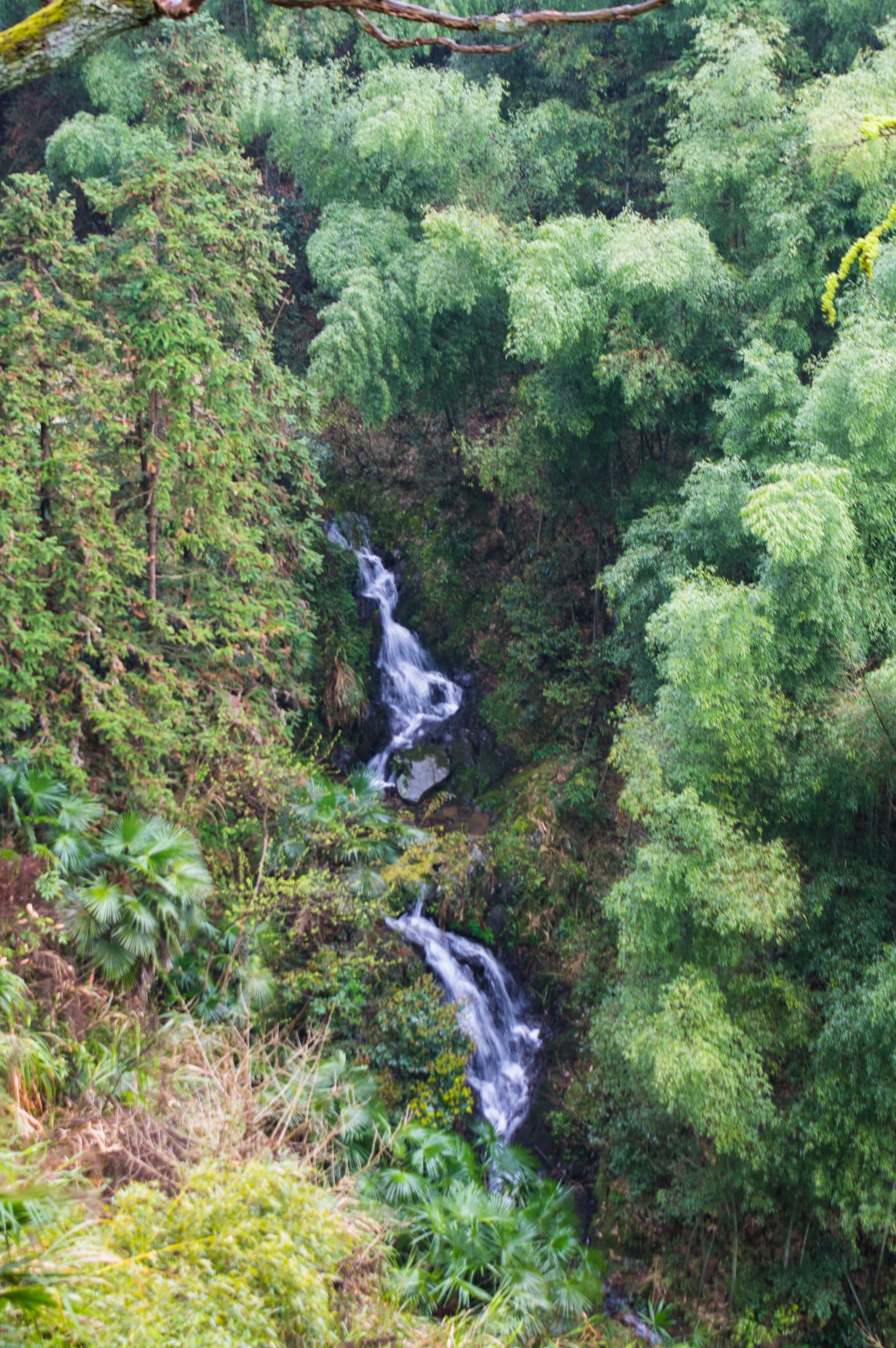 黃山自助遊攻略