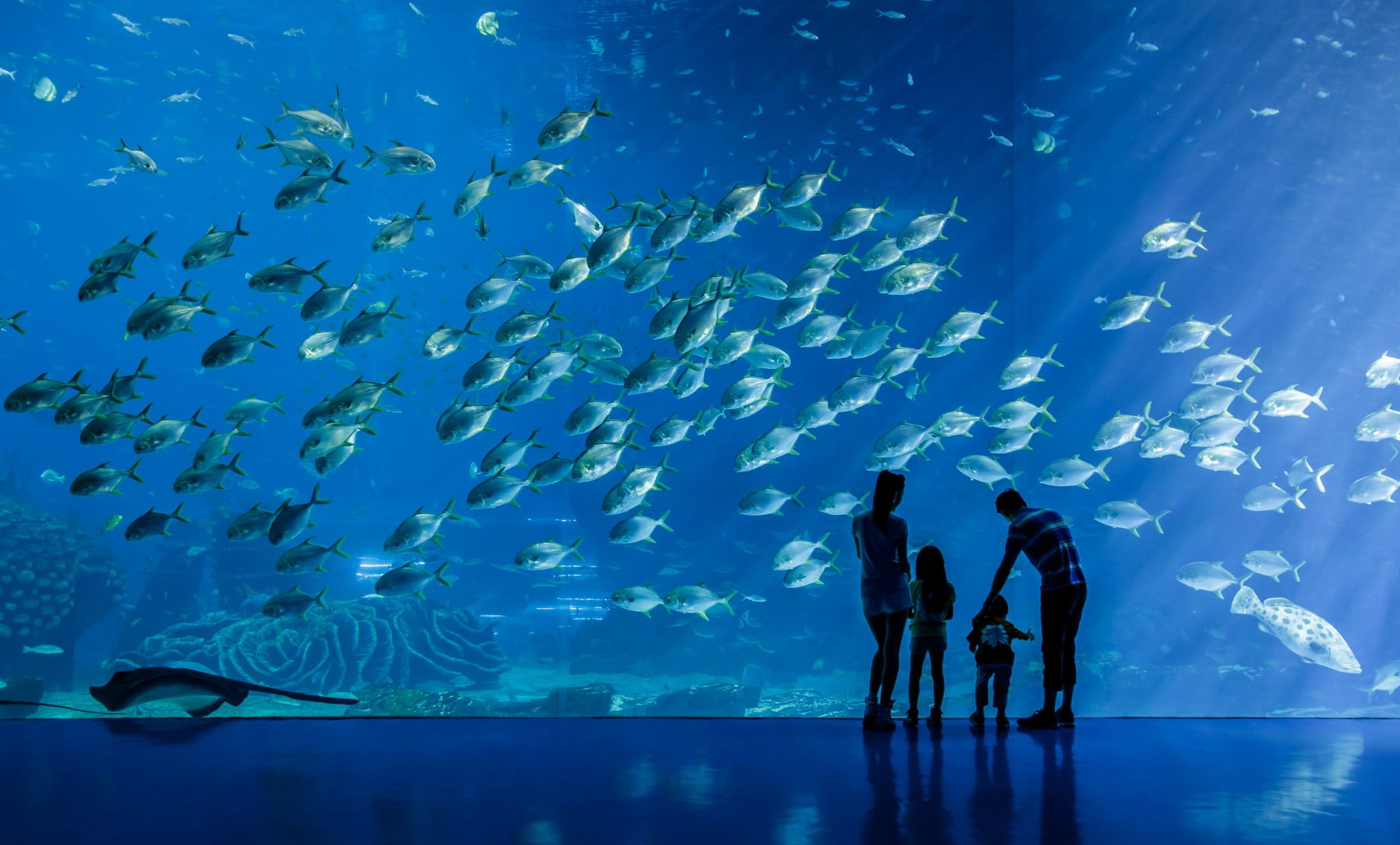 这些亮点不能错过!珠海横琴长隆海洋王国攻略