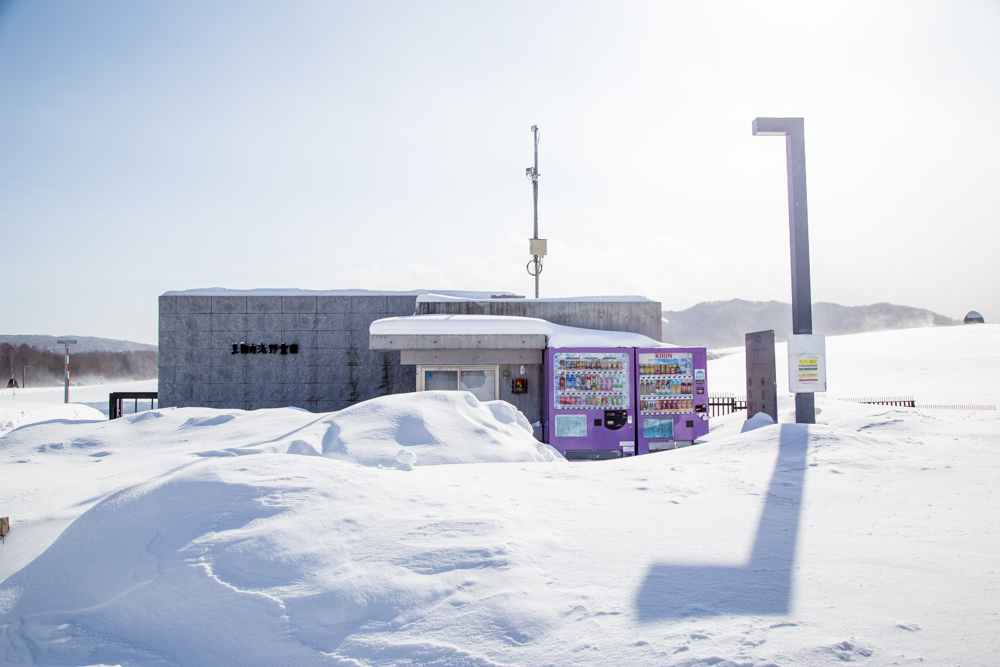 北海道自助遊攻略