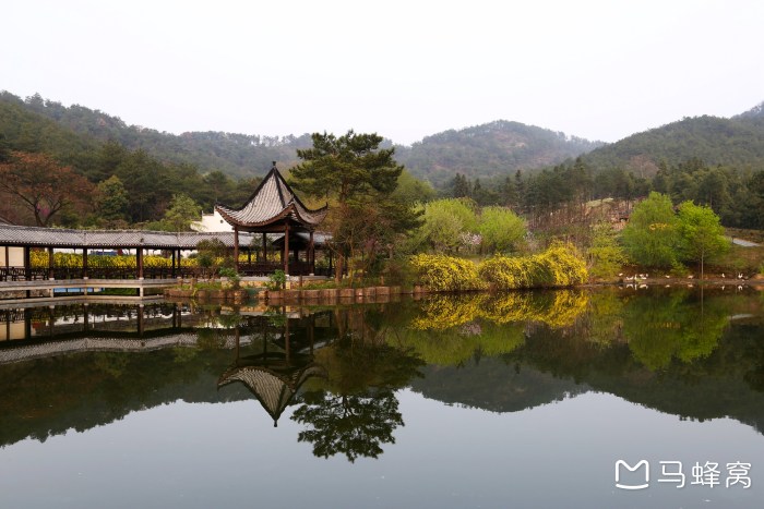 野村谷郊野公园适不适合亲子游