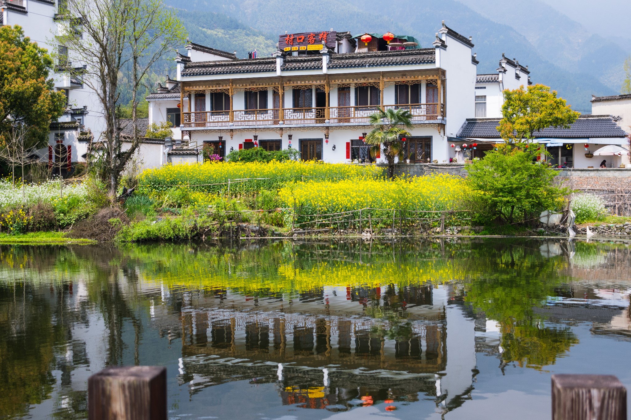 黃山自助遊攻略