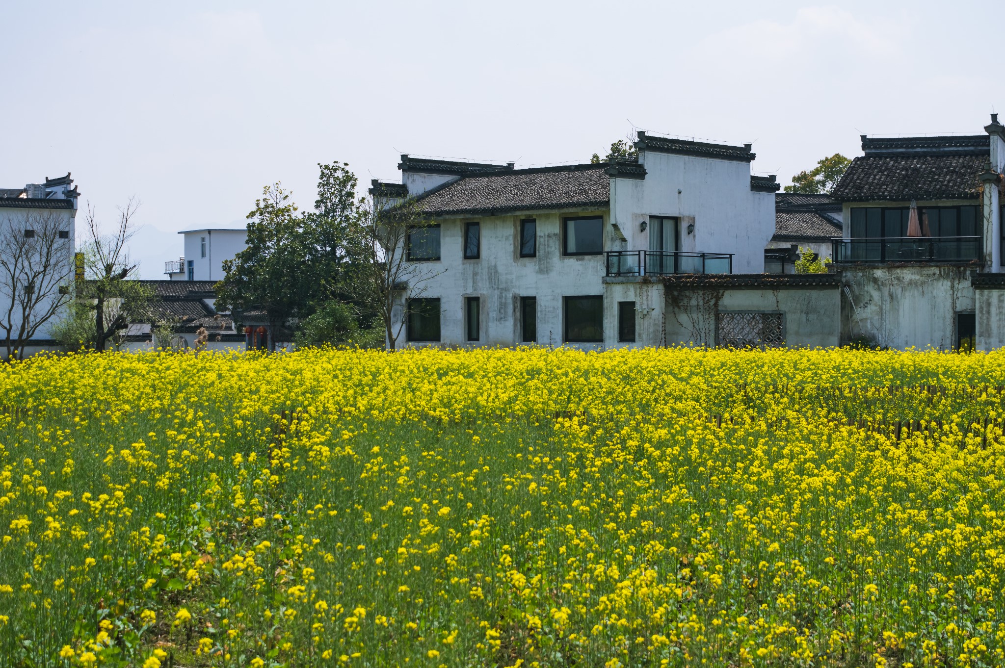 黃山自助遊攻略