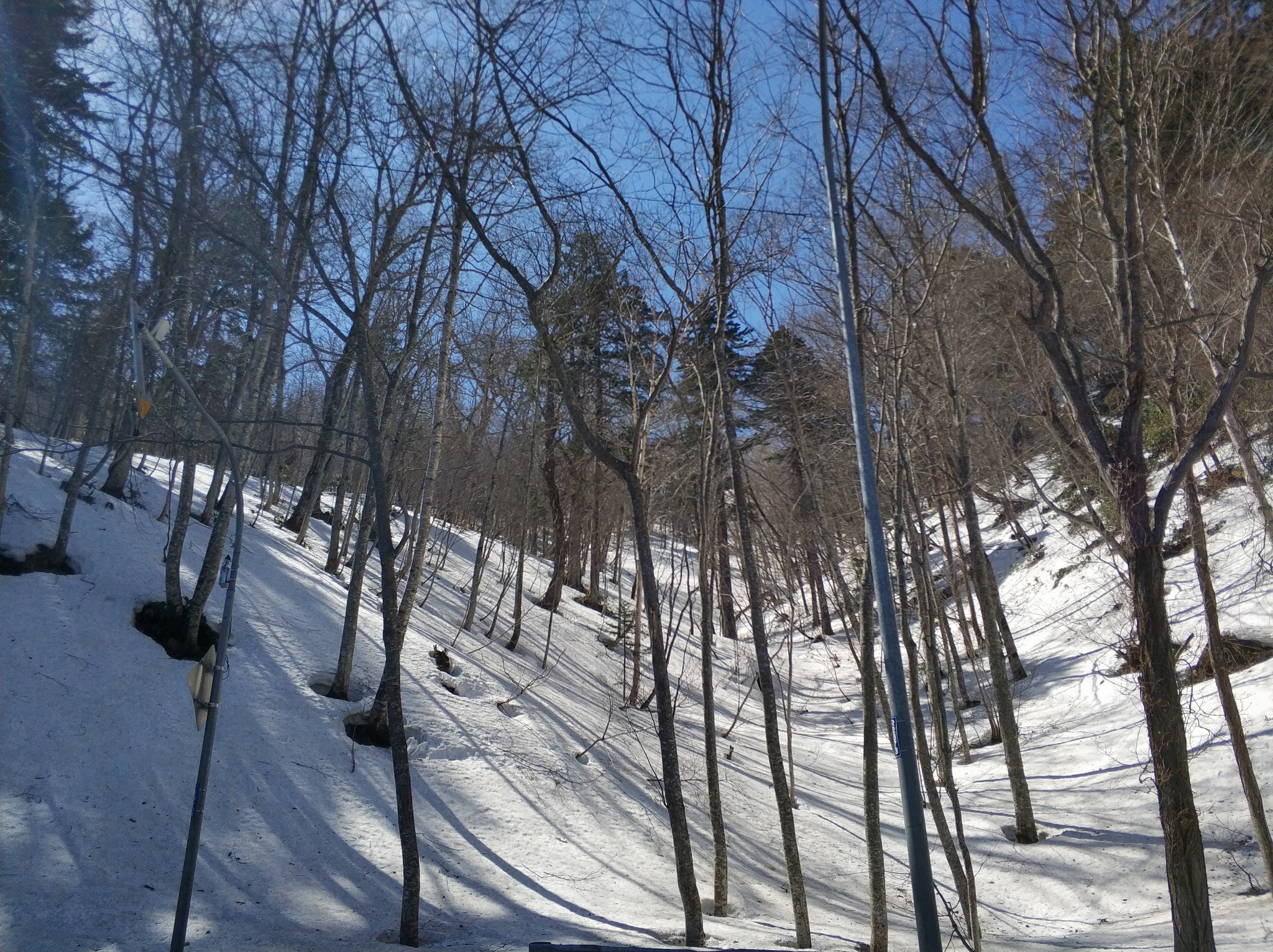 北海道自助遊攻略