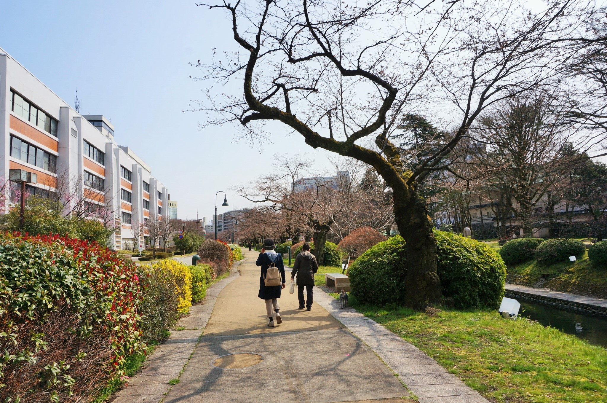 名古屋自助遊攻略