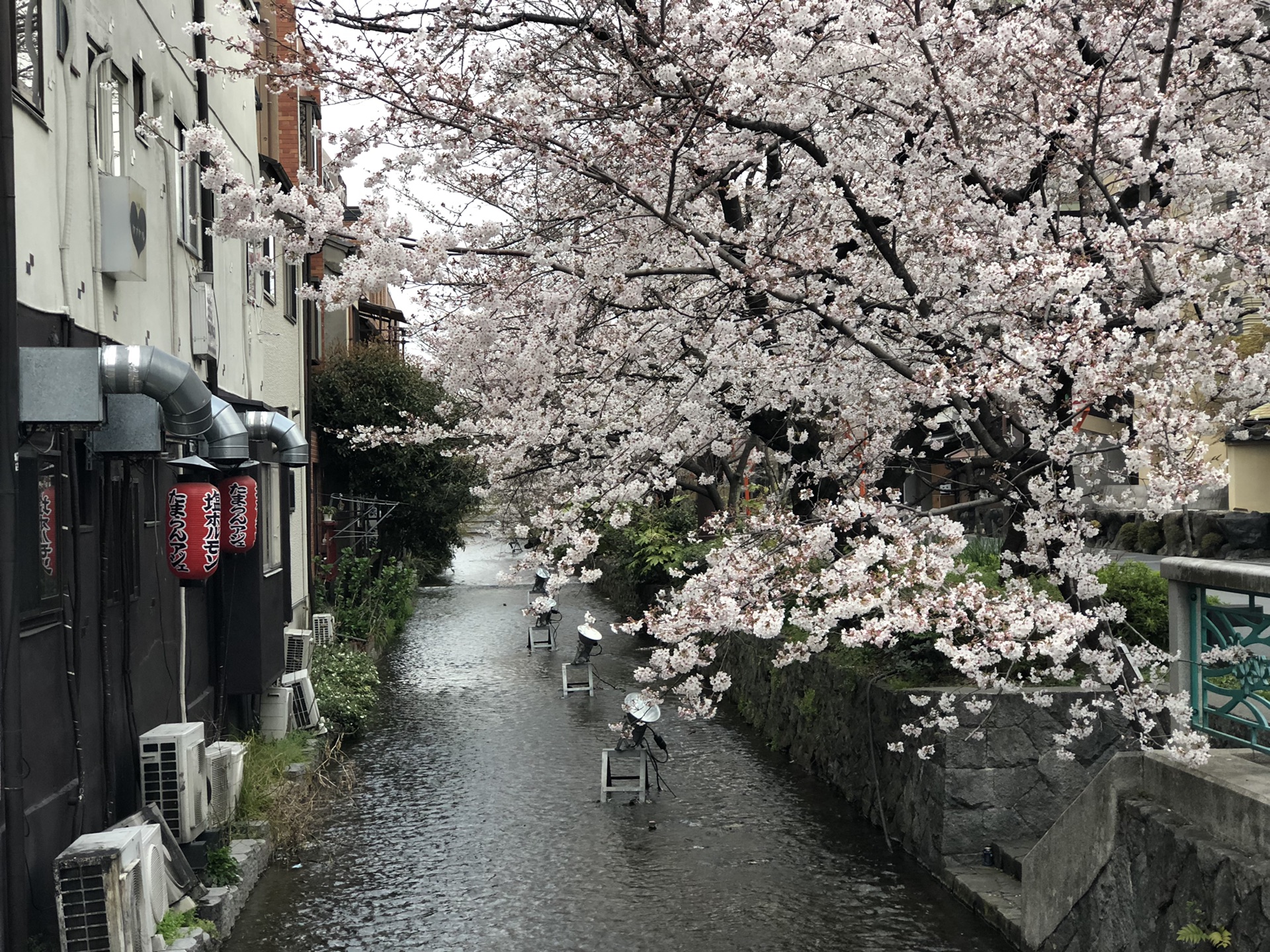 京都自助遊攻略