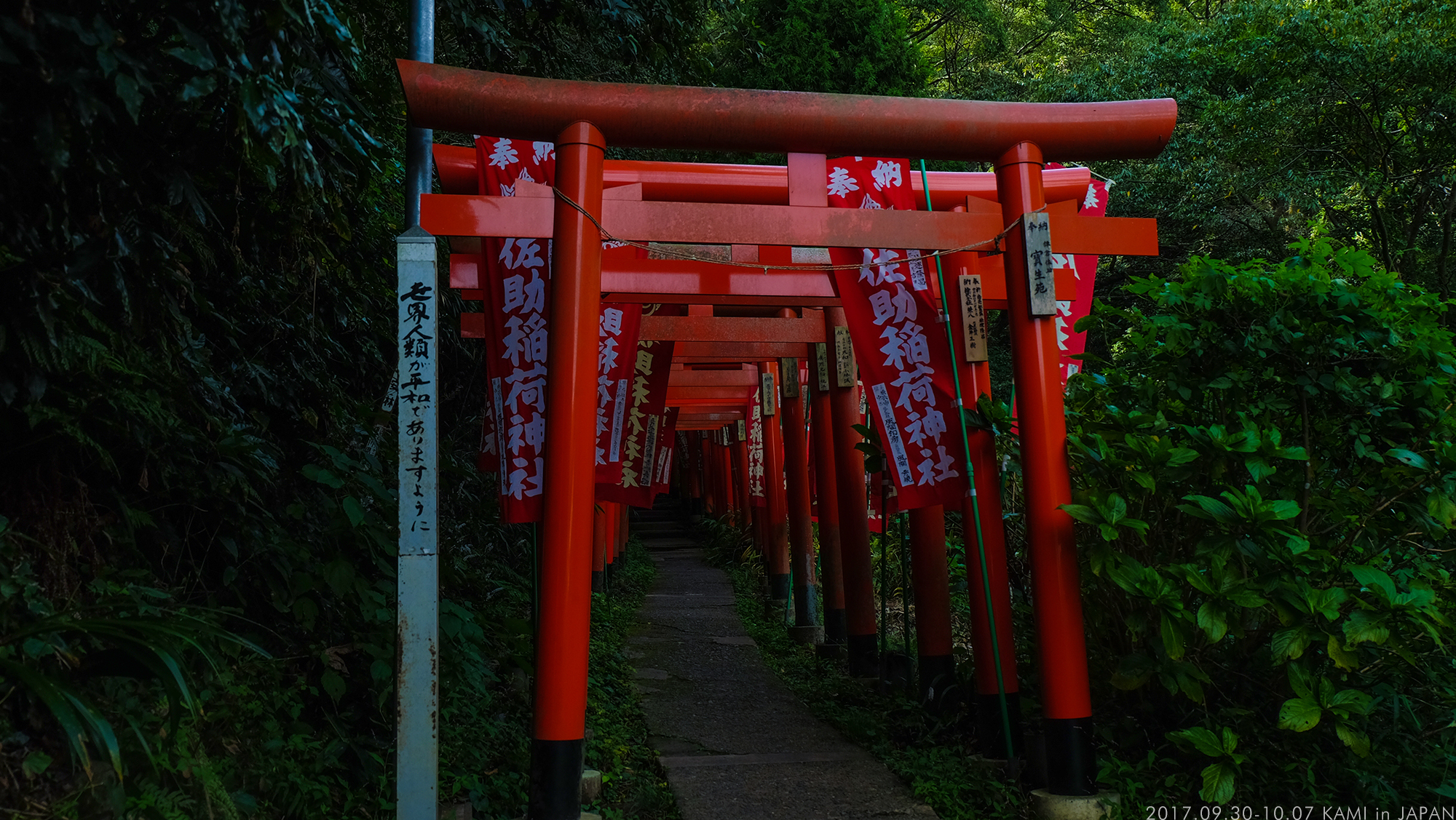 東京自助遊攻略