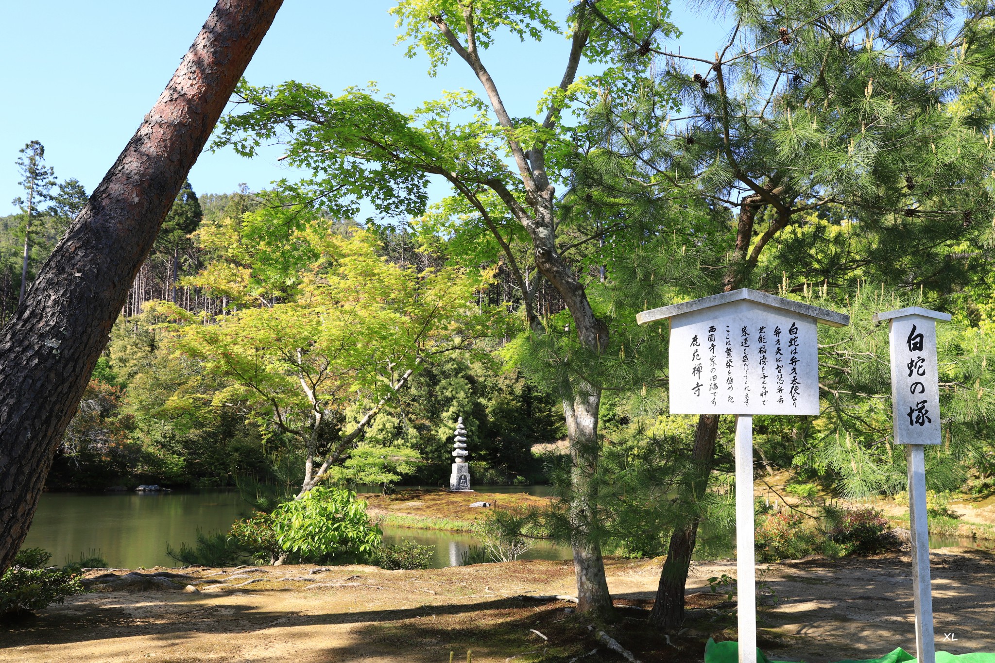 京都自助遊攻略