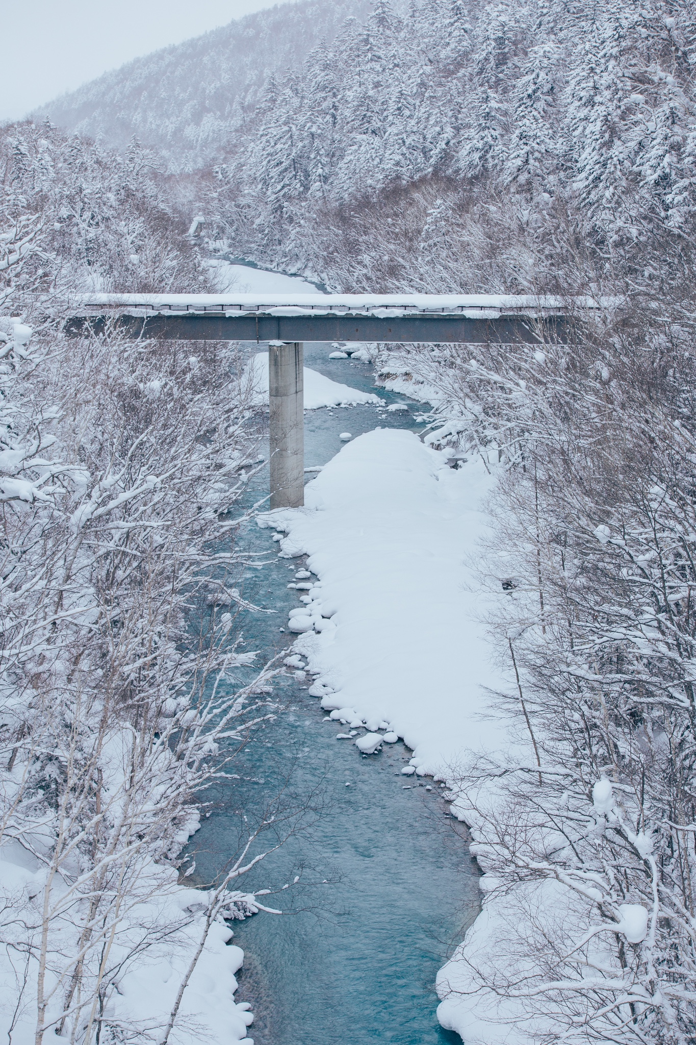 北海道自助遊攻略