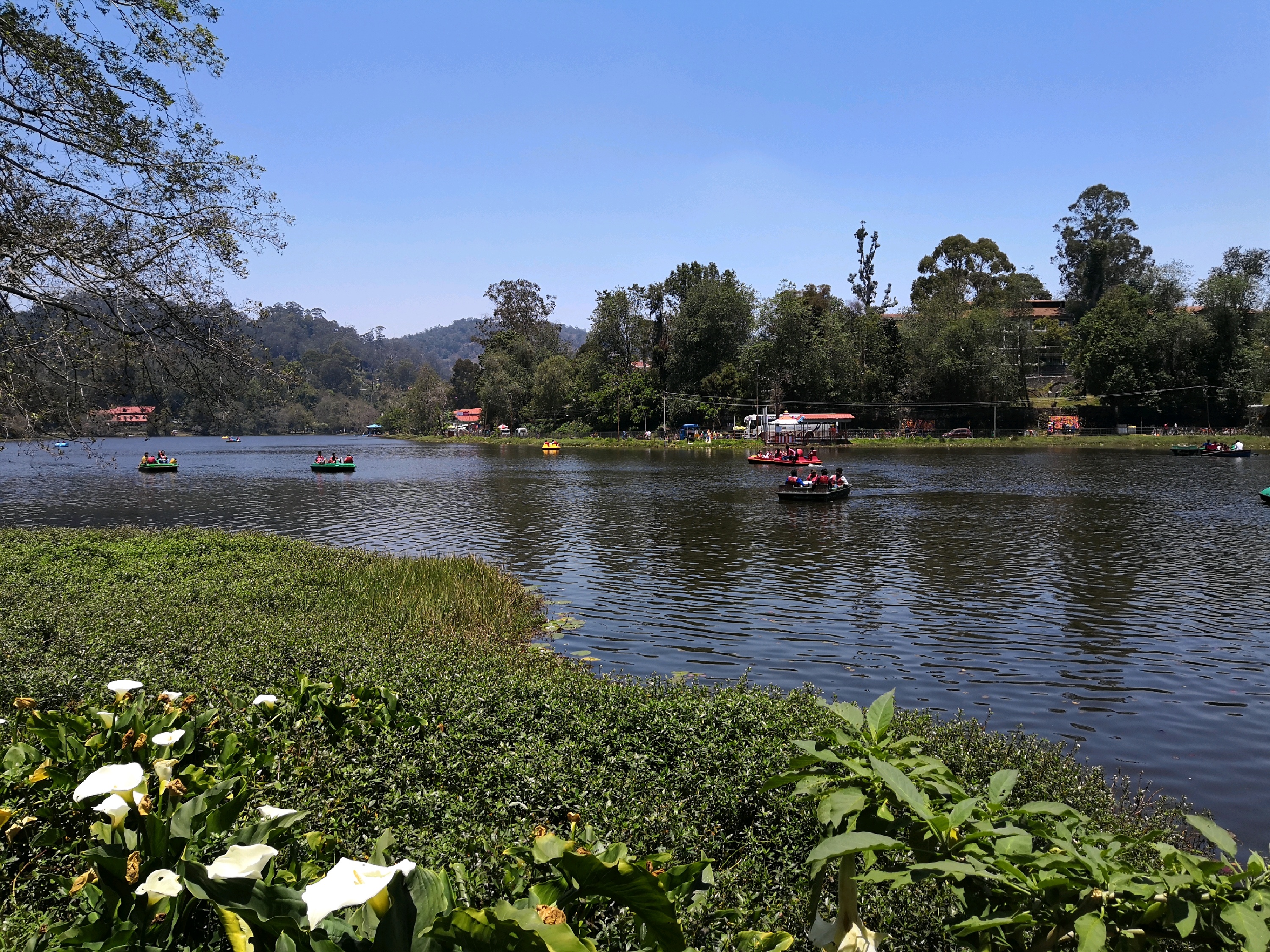 Kodaikanal Lake