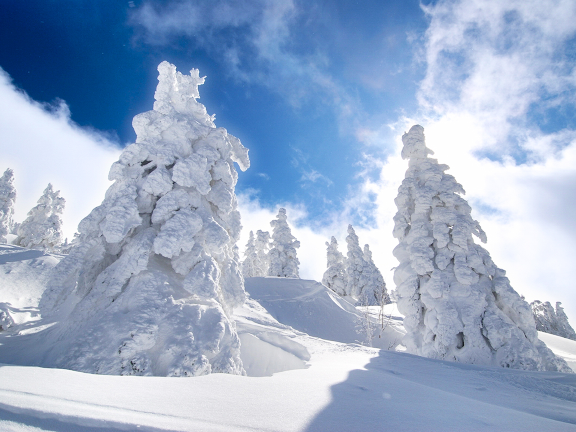                   青森雪景