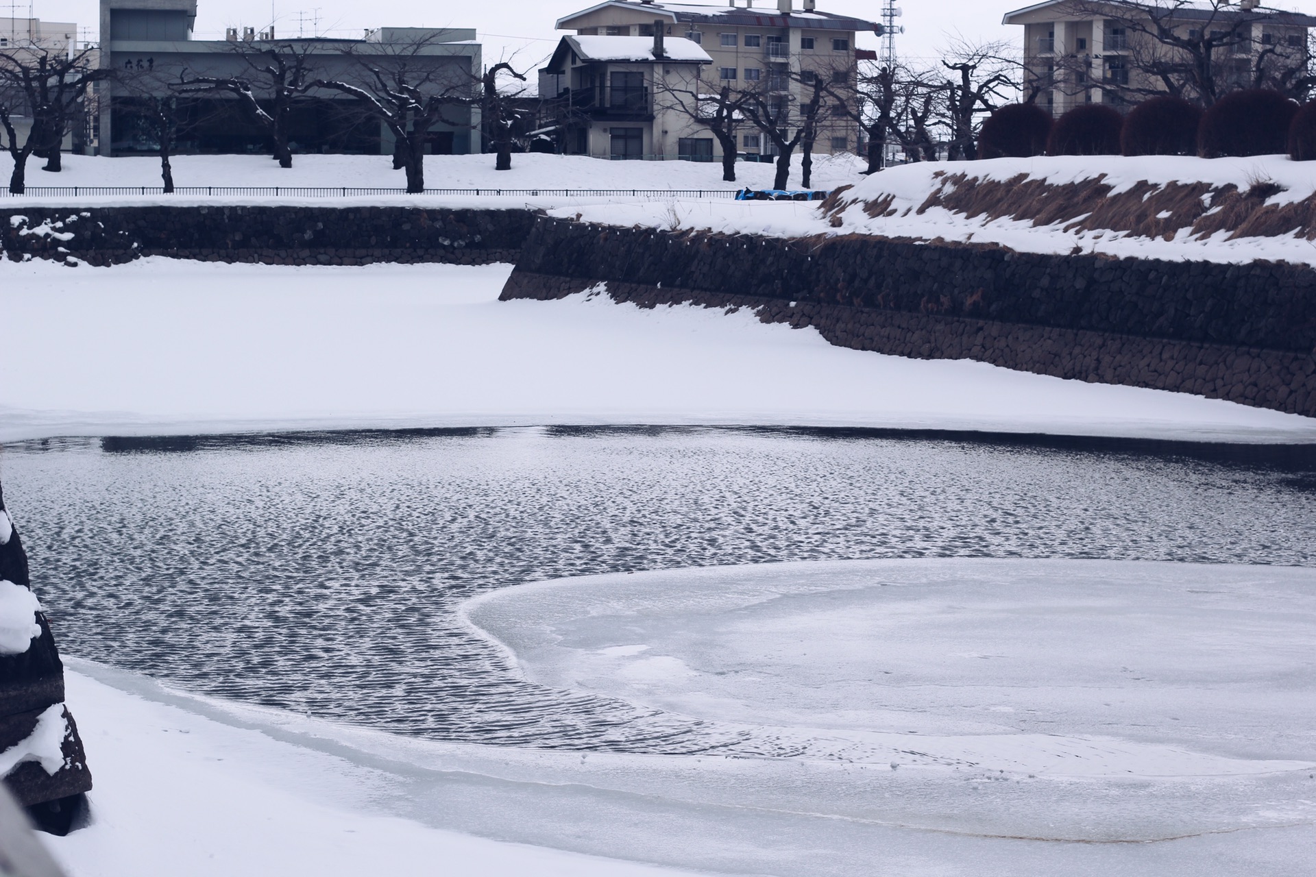 北海道自助遊攻略