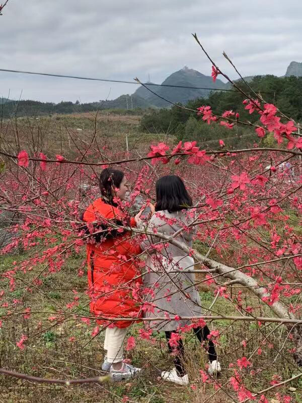 肯德基(连州大道店)