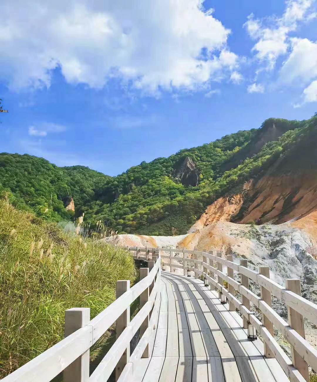 北海道自助遊攻略