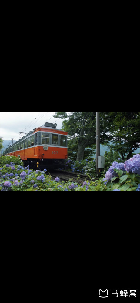镰仓什么时候最值得去 6月的紫阳花季真的那么美吗 马蜂窝 镰仓什么时候最值得去 6月的紫阳花季真的那么美吗 马蜂窝