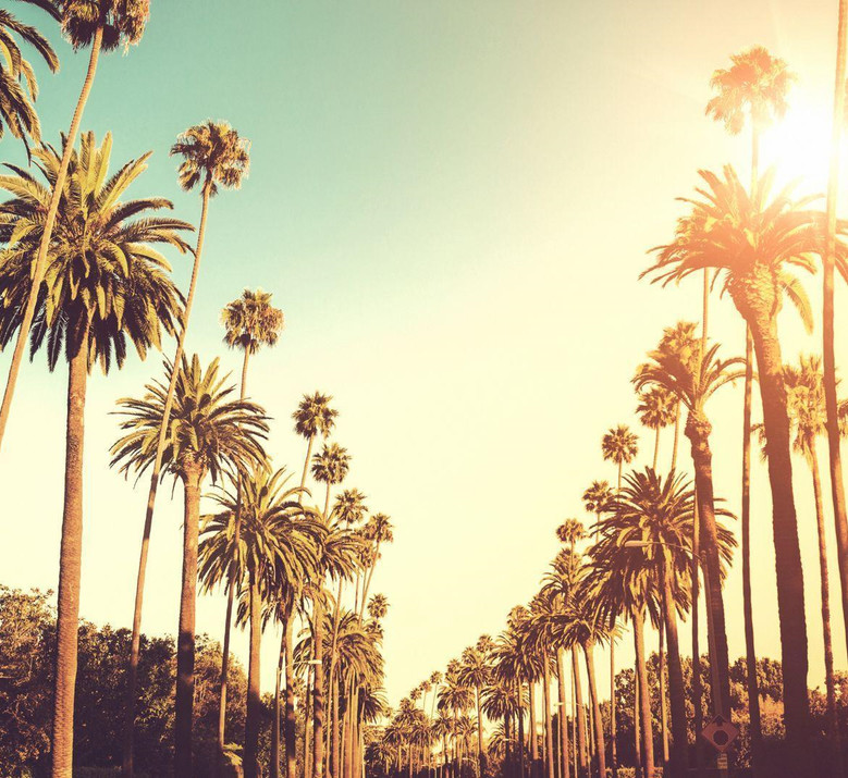 Los Angeles Ticket-Buying Guide: A Clear Breakdown of Discounts, Express Passes, and City Passes