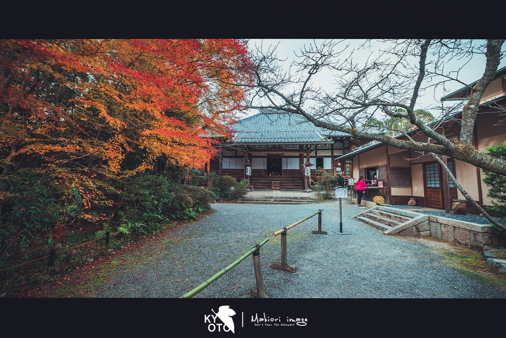 京都自助遊攻略